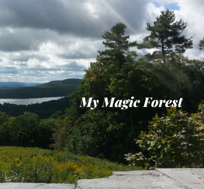 My Magic Forest!
